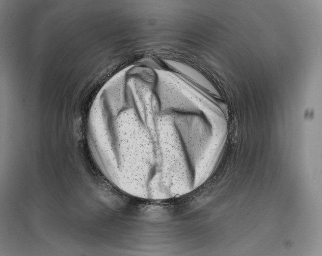 X0000096450224200802211241