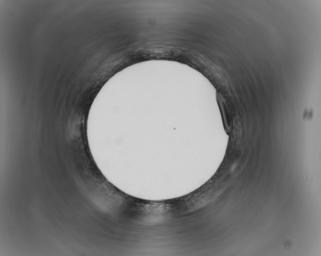 X0000096450225200802211241