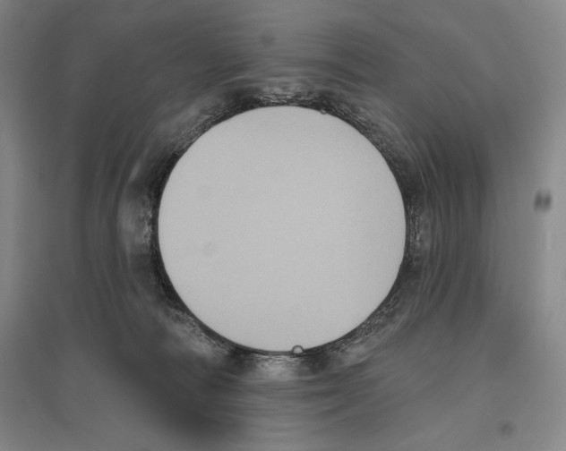 X0000096450226200802211241