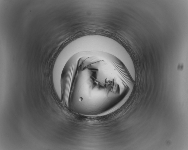 X0000096450228200802211241