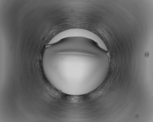 X0000096450229200802211241