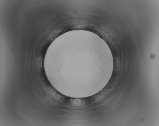 X0000096450230200802211241