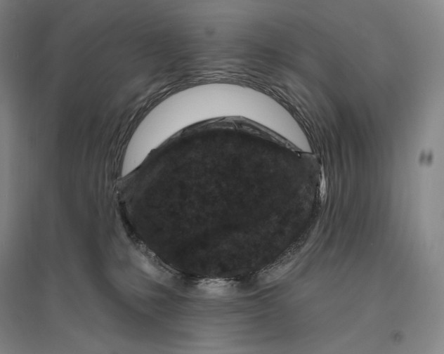 X0000096450231200802211241