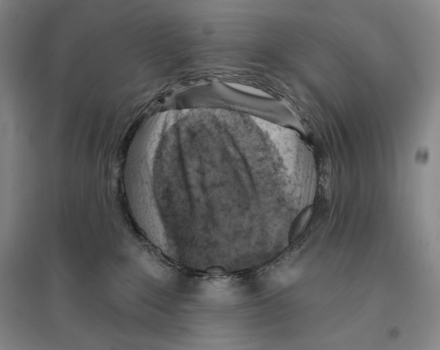 X0000096450235200802211241