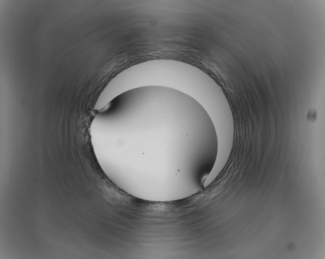 X0000096450237200802211241