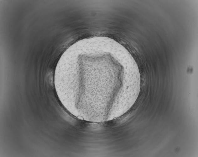 X0000096450238200802211241