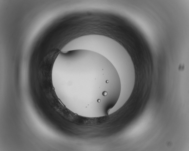 X0000096450239200802211241