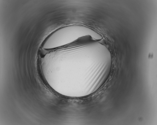 X0000096450242200802211241