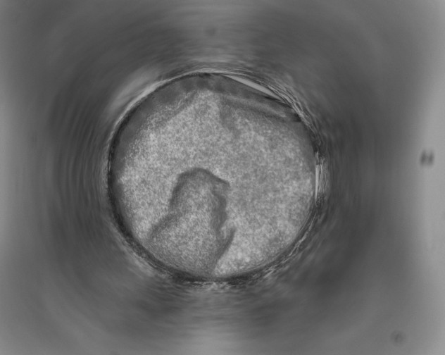 X0000096450243200802211241