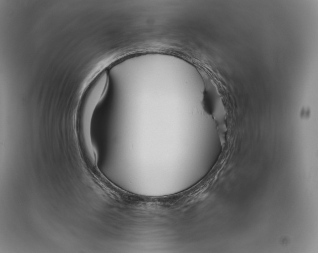 X0000096450244200802211241