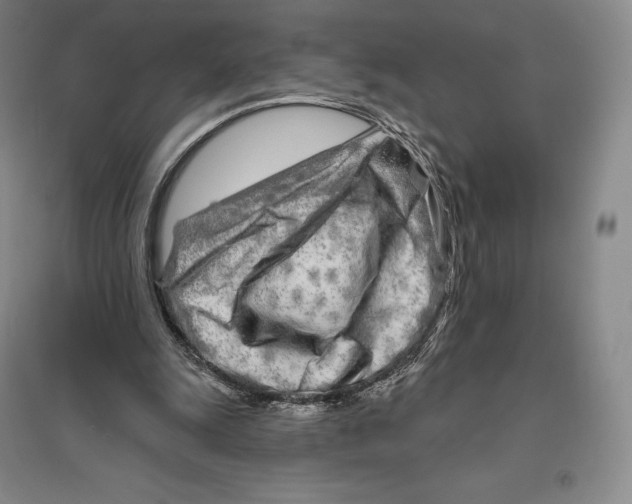 X0000096450247200802211241