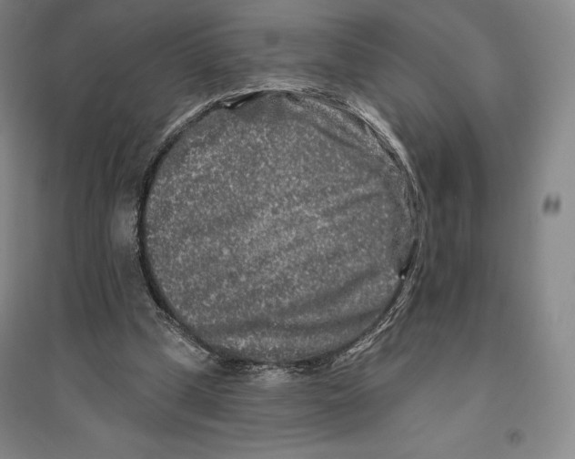 X0000096450249200802211241