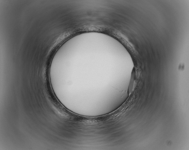 X0000096450250200802211241