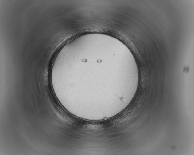 X0000096450251200802211241