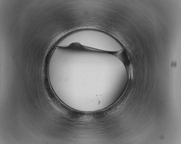 X0000096450252200802211241