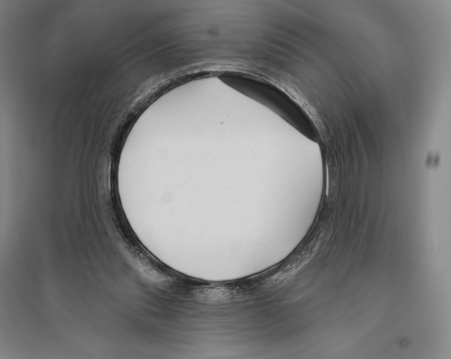 X0000096450253200802211241