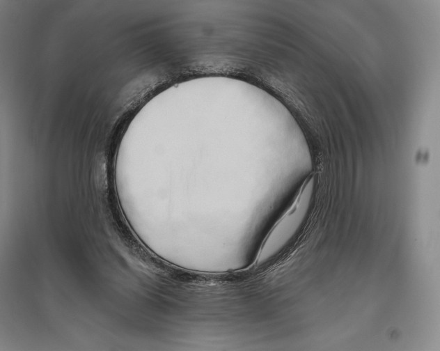 X0000096450254200802211241