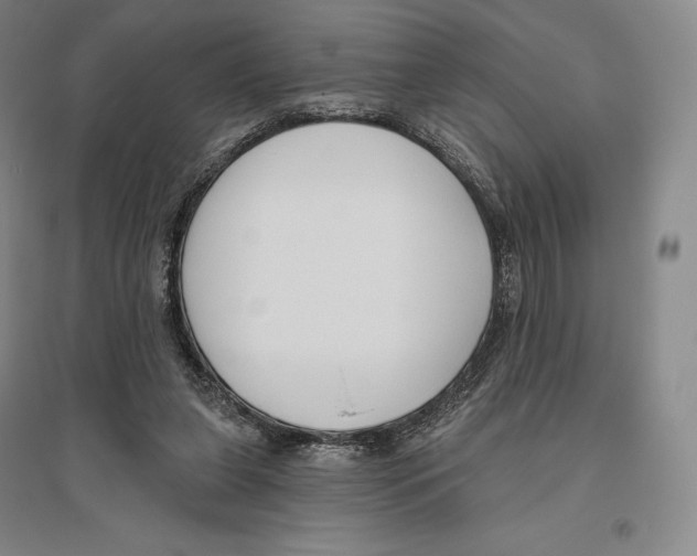 X0000096450255200802211241