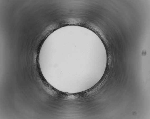 X0000096450257200802211241