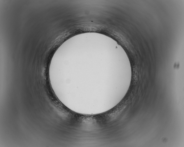 X0000096450258200802211241