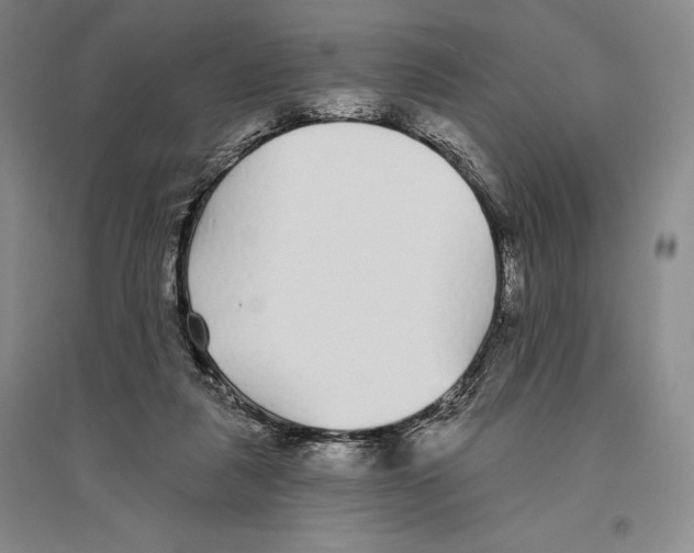 X0000096450259200802211241