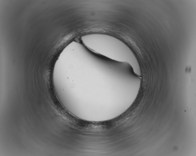 X0000096450260200802211241