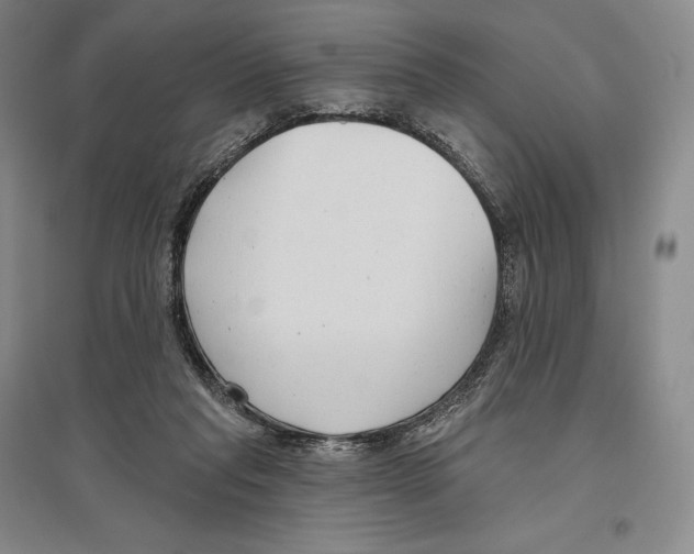 X0000096450261200802211241