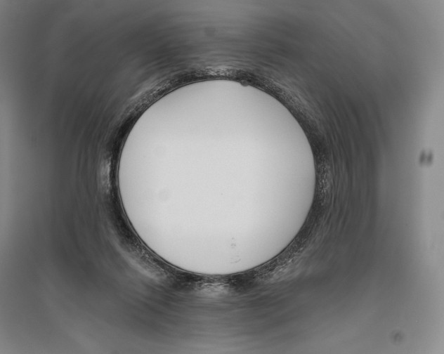 X0000096450262200802211241