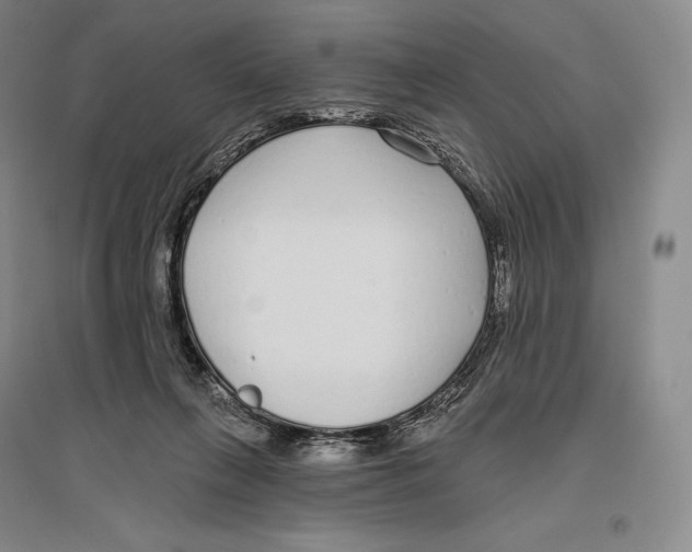 X0000096450263200802211241