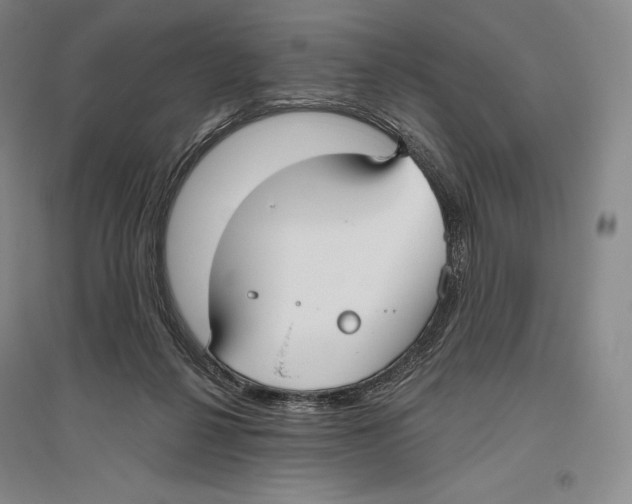 X0000096450264200802211241