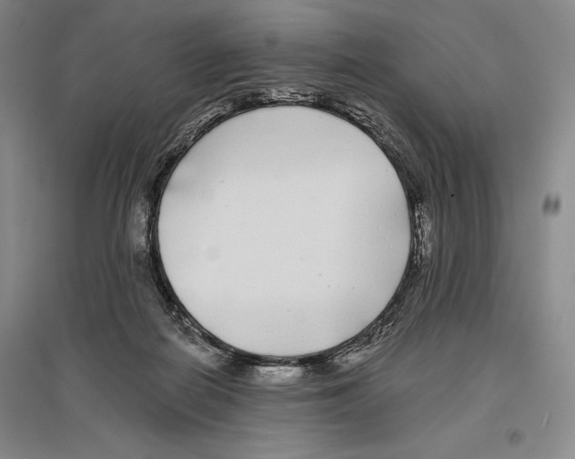 X0000096450266200802211241