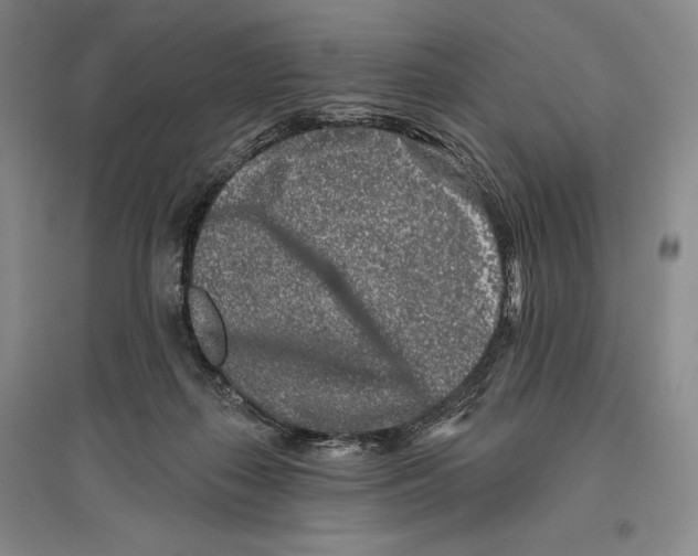 X0000096450267200802211241