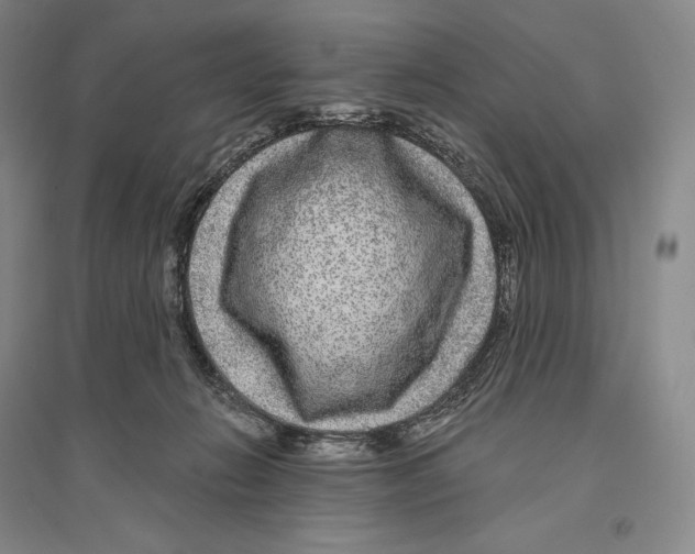 X0000096450270200802211241