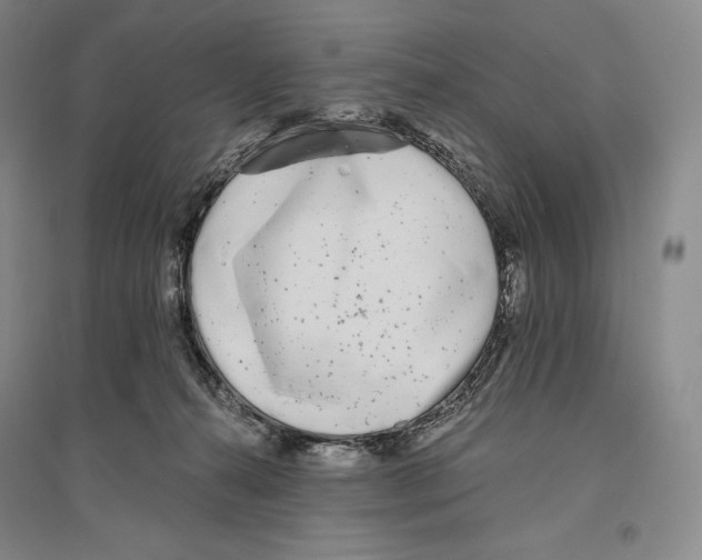 X0000096450272200802211241