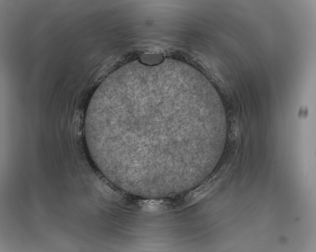 X0000096450273200802211241