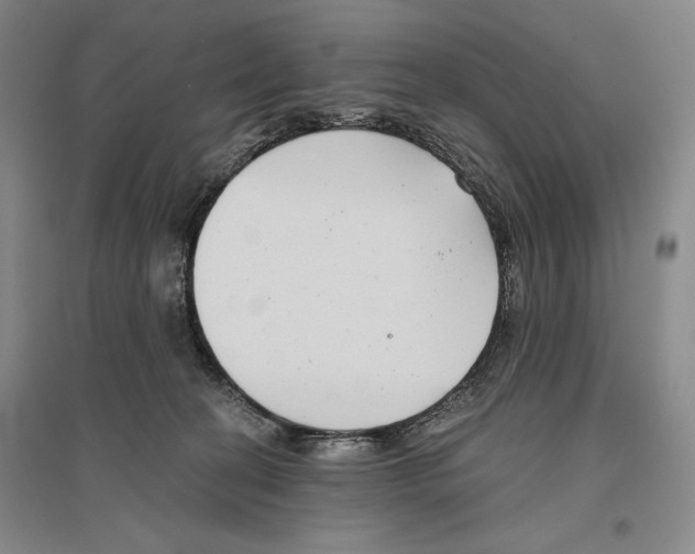 X0000096450274200802211241