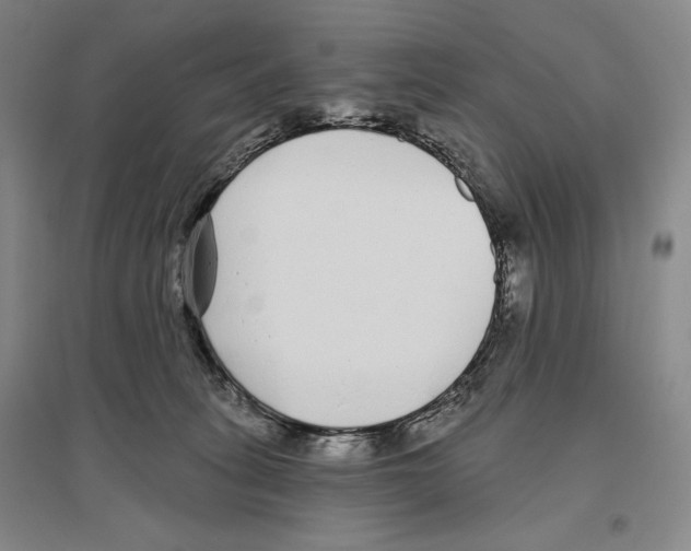 X0000096450275200802211241