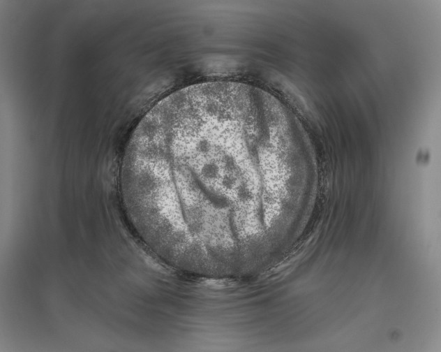 X0000096450277200802211241