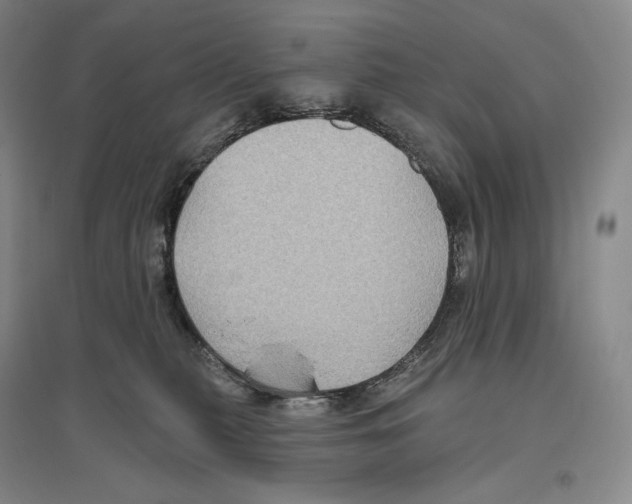 X0000096450279200802211241