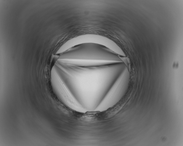 X0000096450280200802211241