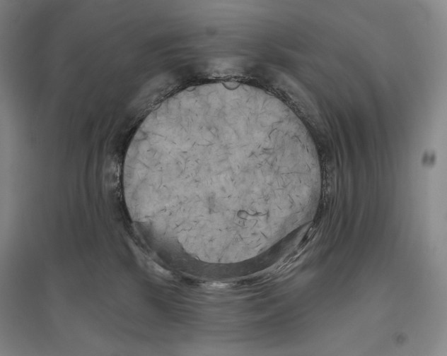 X0000096450281200802211241