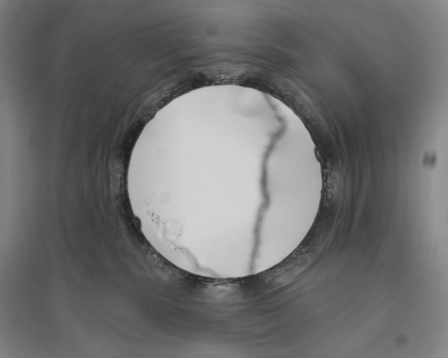 X0000096450283200802211241