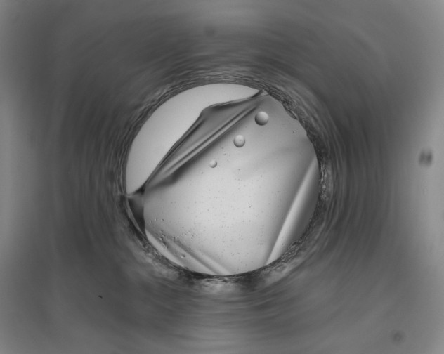 X0000096450284200802211241