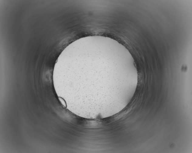 X0000096450286200802211241