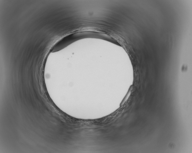 X0000096450289200802211240