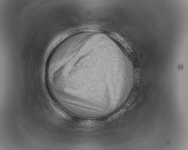 X0000096450293200802211240