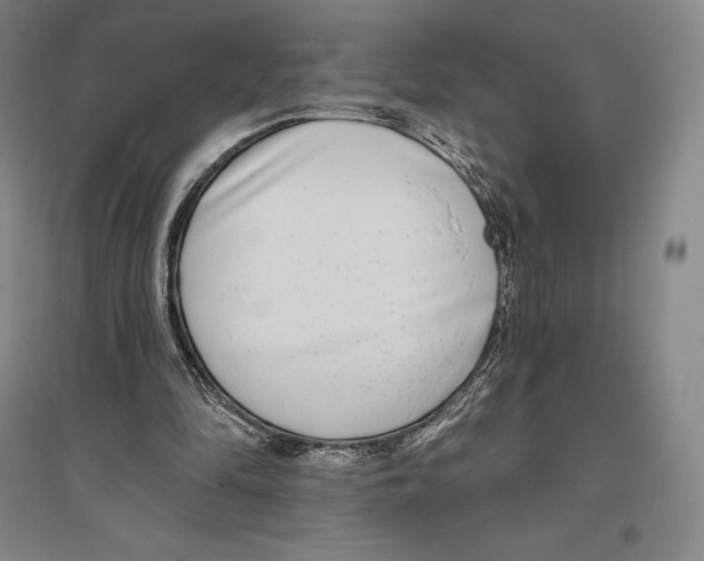 X0000096450294200802211240