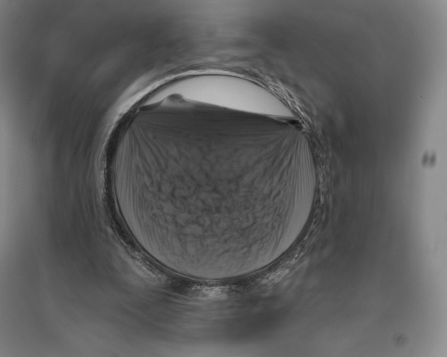 X0000096450295200802211240