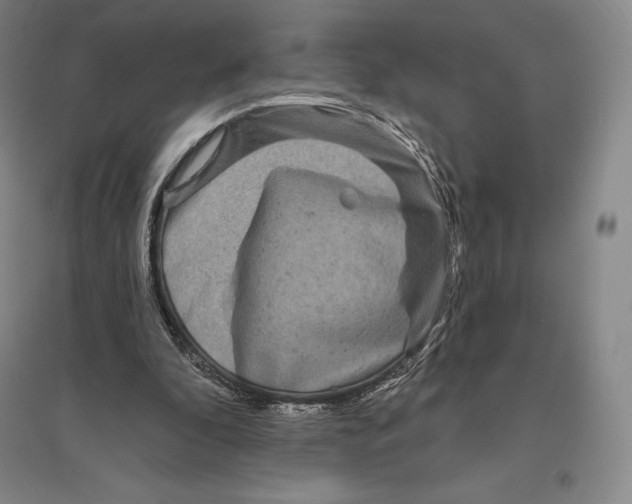 X0000096450296200802211240