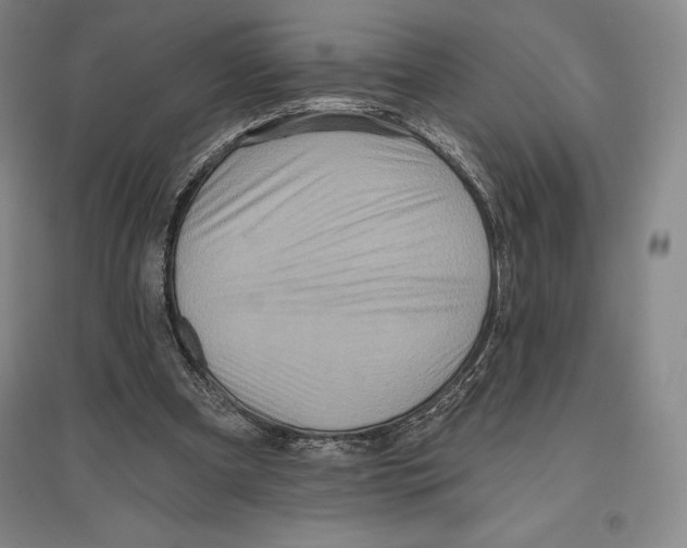 X0000096450297200802211240